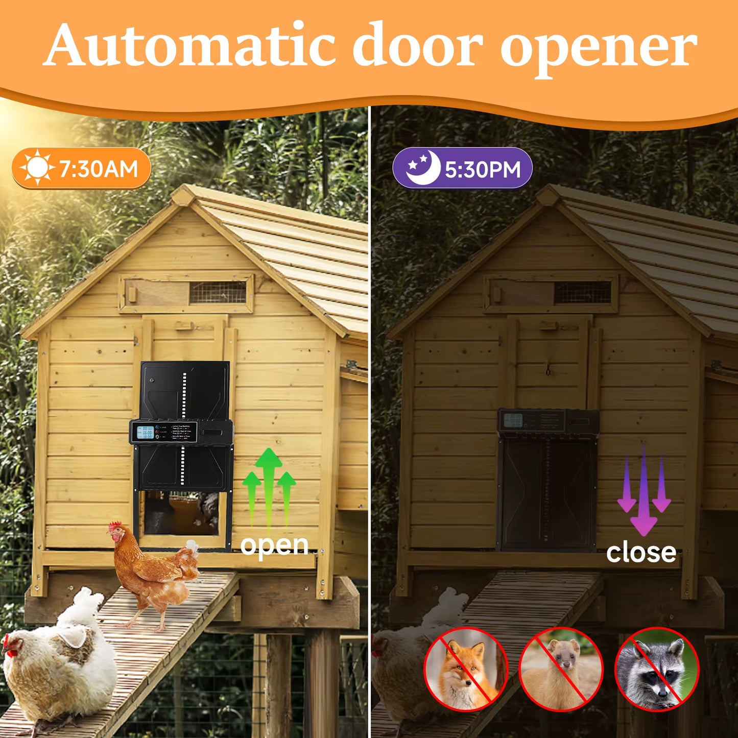 Porte Automatique pour Poulailler avec Capteur Anti-Pincement – Ouverture Fermeture Programmable – Porte Poule Intelligente Aluminium – Élevage Extérieur