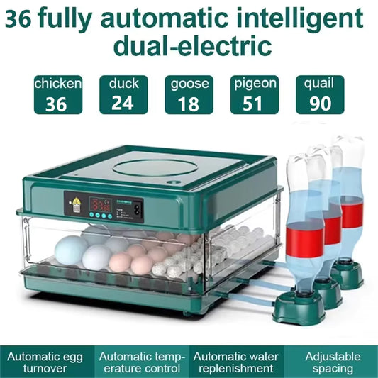 Couveuse à Œufs Automatique 24 Œufs avec Contrôle de Température – Remplissage d’Eau Externe – Incubateur Électrique pour Œufs de Poule et Volaille