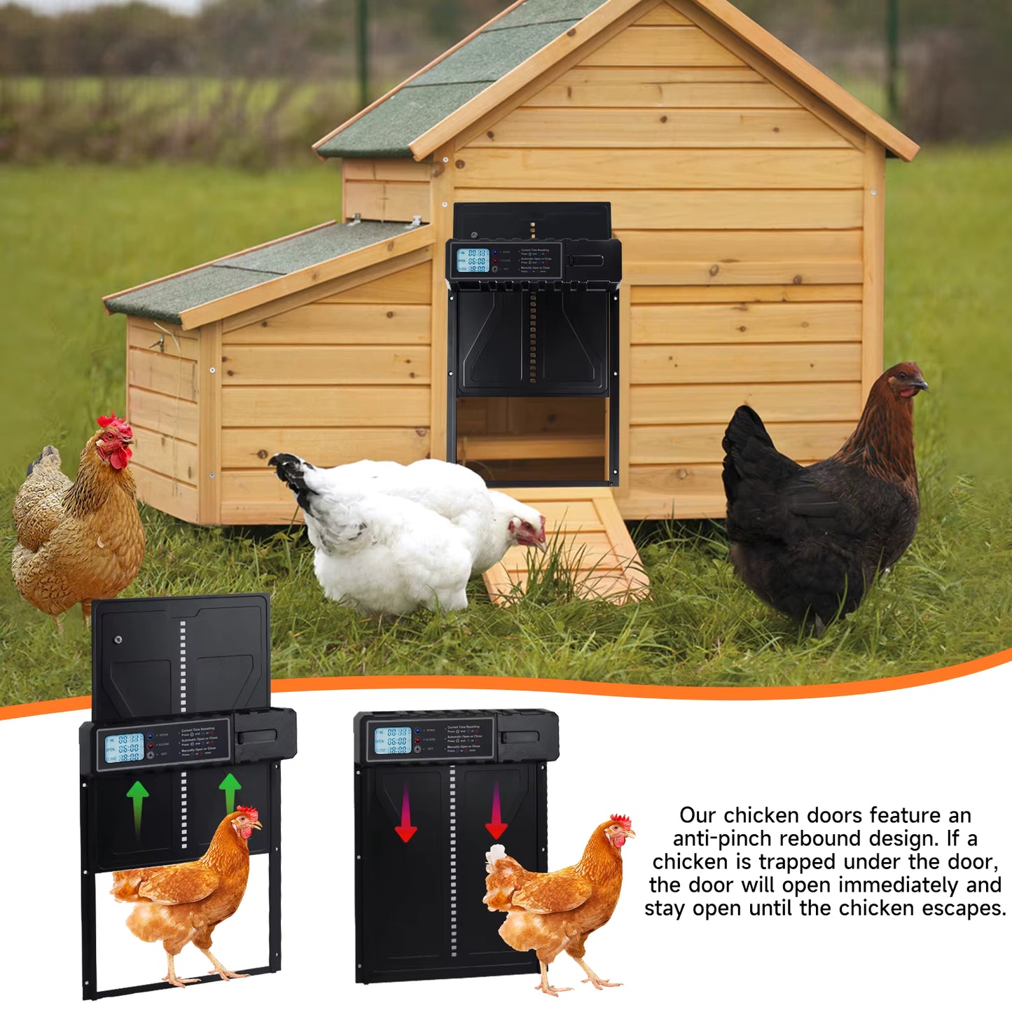 Porte Automatique pour Poulailler avec Capteur Anti-Pincement – Ouverture Fermeture Programmable – Porte Poule Intelligente Aluminium – Élevage Extérieur