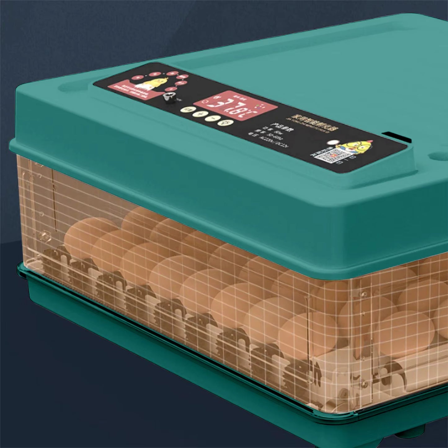 Couveuse à Œufs Automatique 24 Œufs avec Contrôle de Température – Remplissage d’Eau Externe – Incubateur Électrique pour Œufs de Poule et Volaille