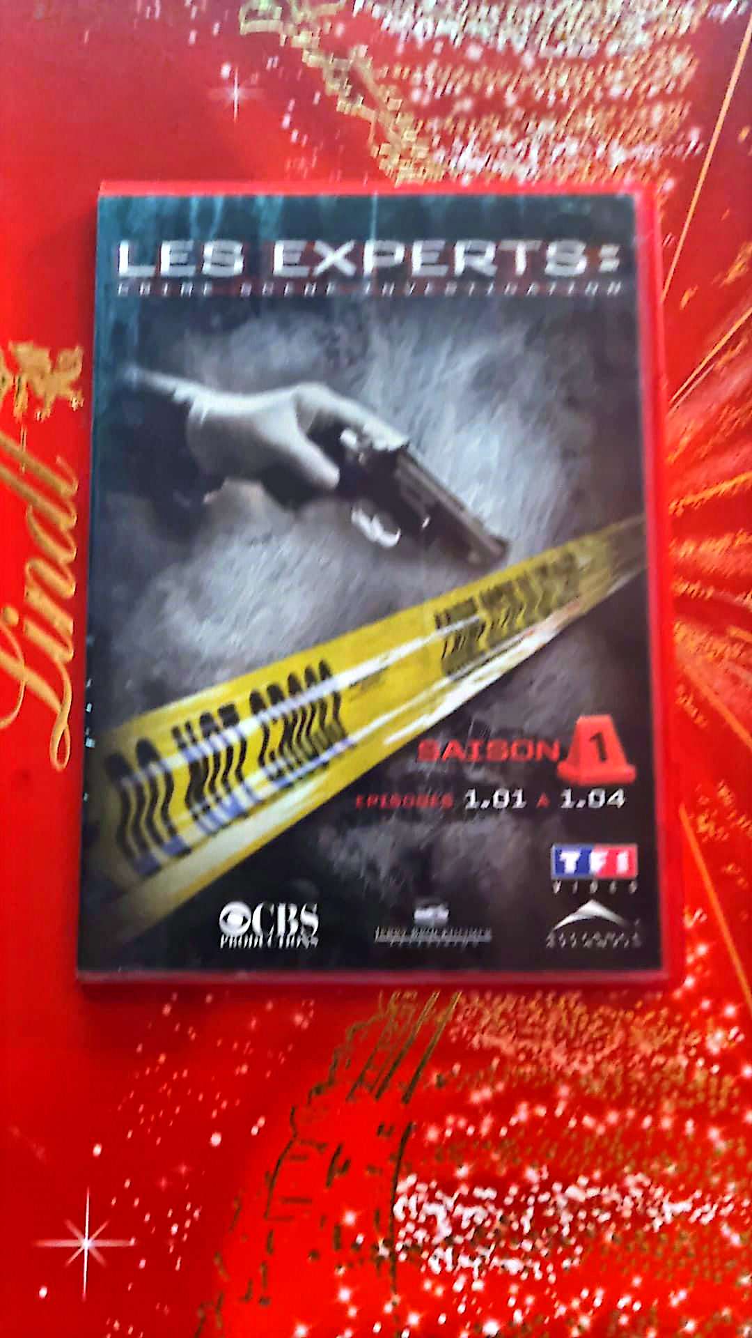 DVD les experts saison 1