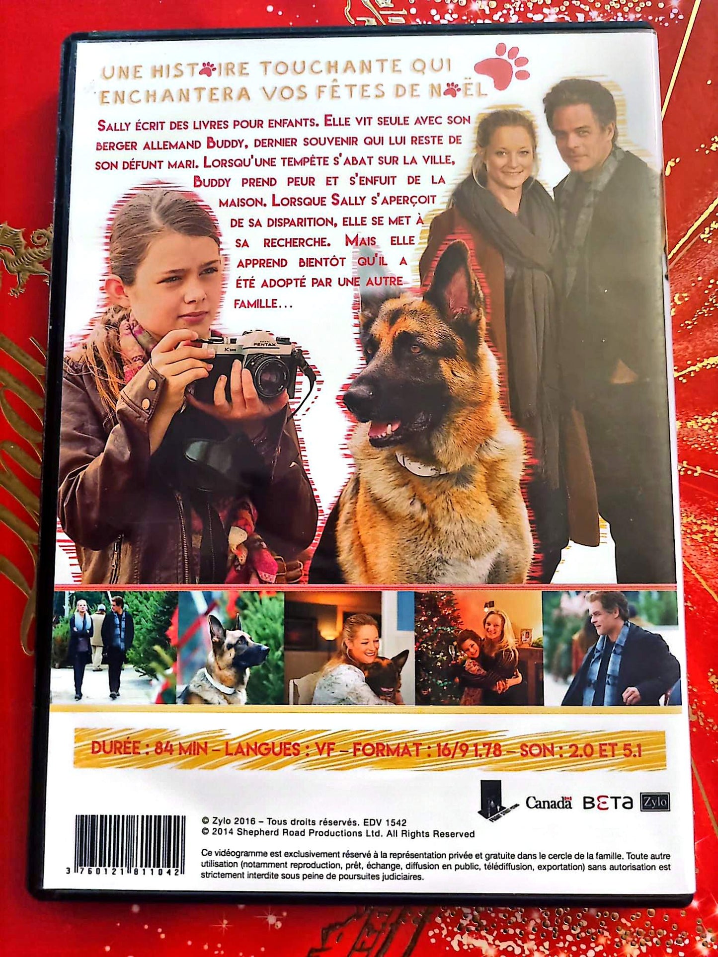 Buddy, mon berger de Noël – DVD – Film Familial – Comédie – Chien – Noël
