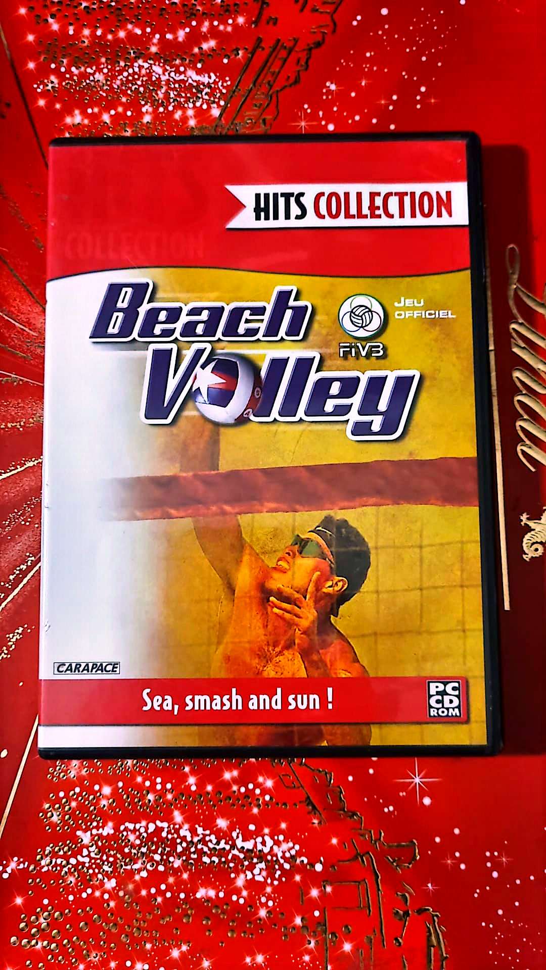 Jeu vidéo PC : Beach volley pc