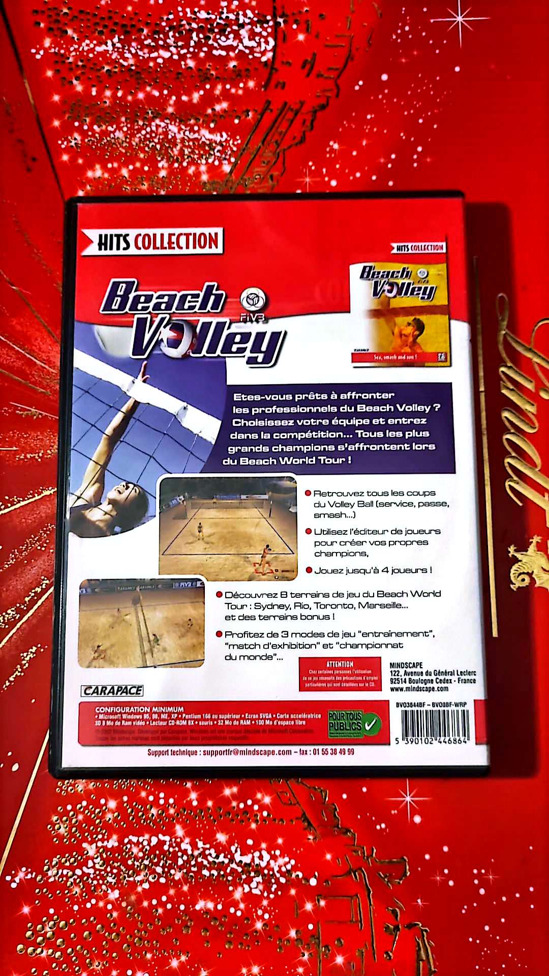 Jeu vidéo PC : Beach volley pc