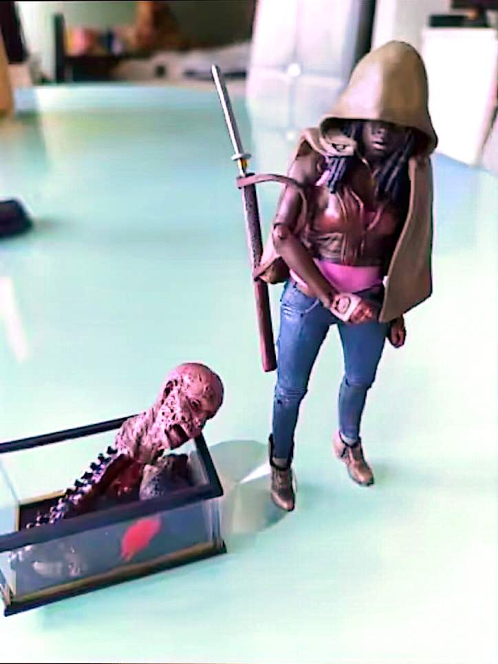 The Walking Dead – Figurine Michonne – McFarlane Toys – Série AMC – Figurine Articulée Collection
