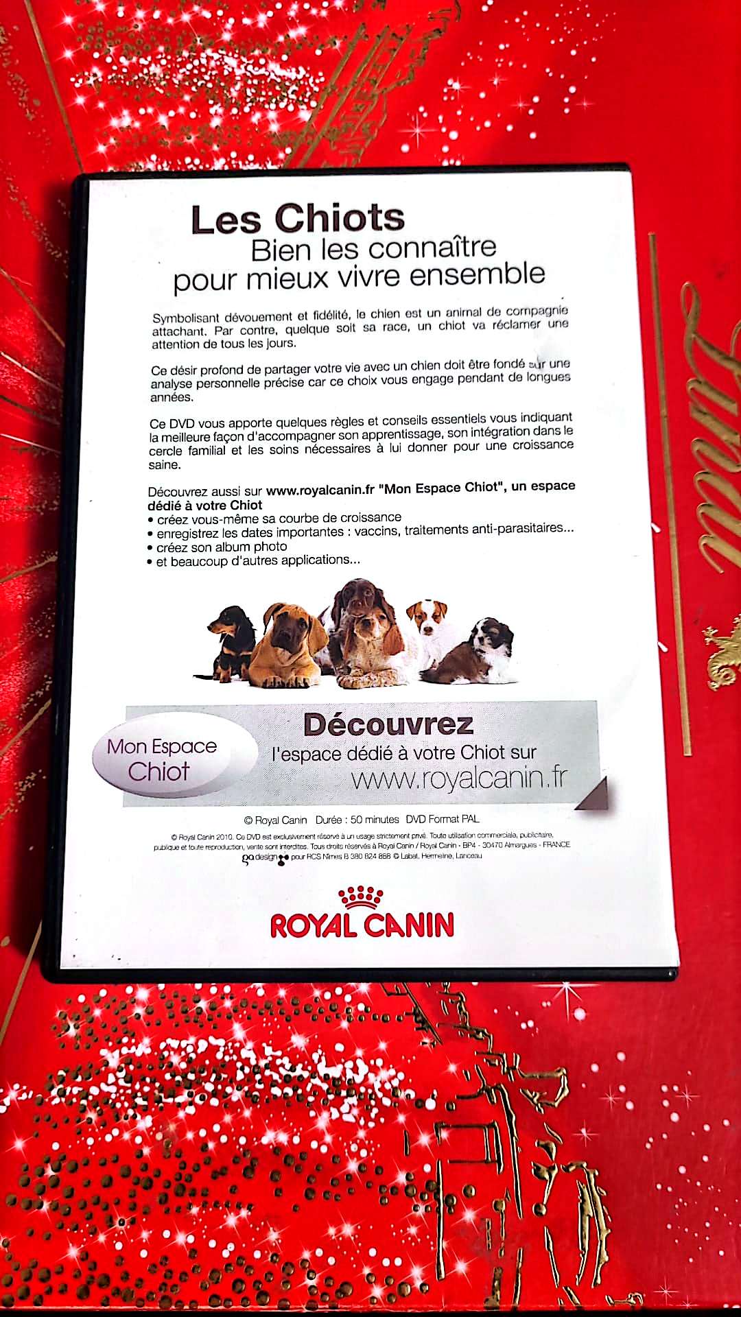 DVD : les chiots bien les connaître pour mieux vivre ensemble