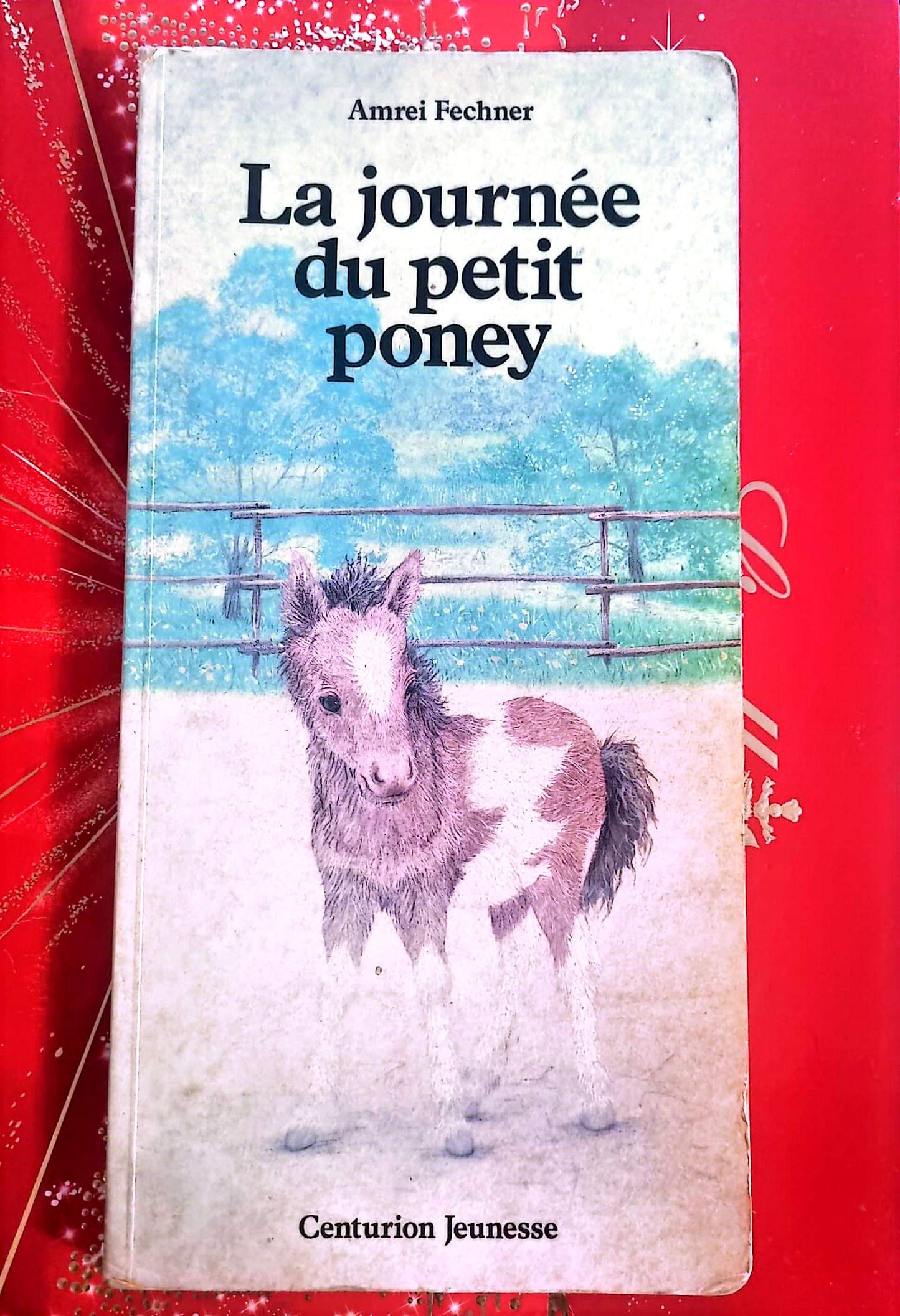 Livre Jeunesse – Amrei Fechner – La journée du petit poney – Centurion Jeunesse
