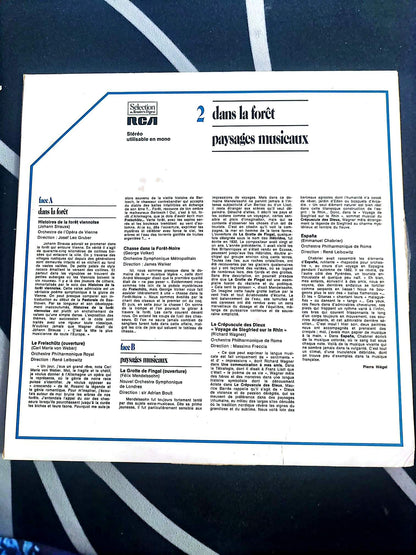 Dans la forêt : paysages musicaux – Vinyle 33T – RCA Sélection