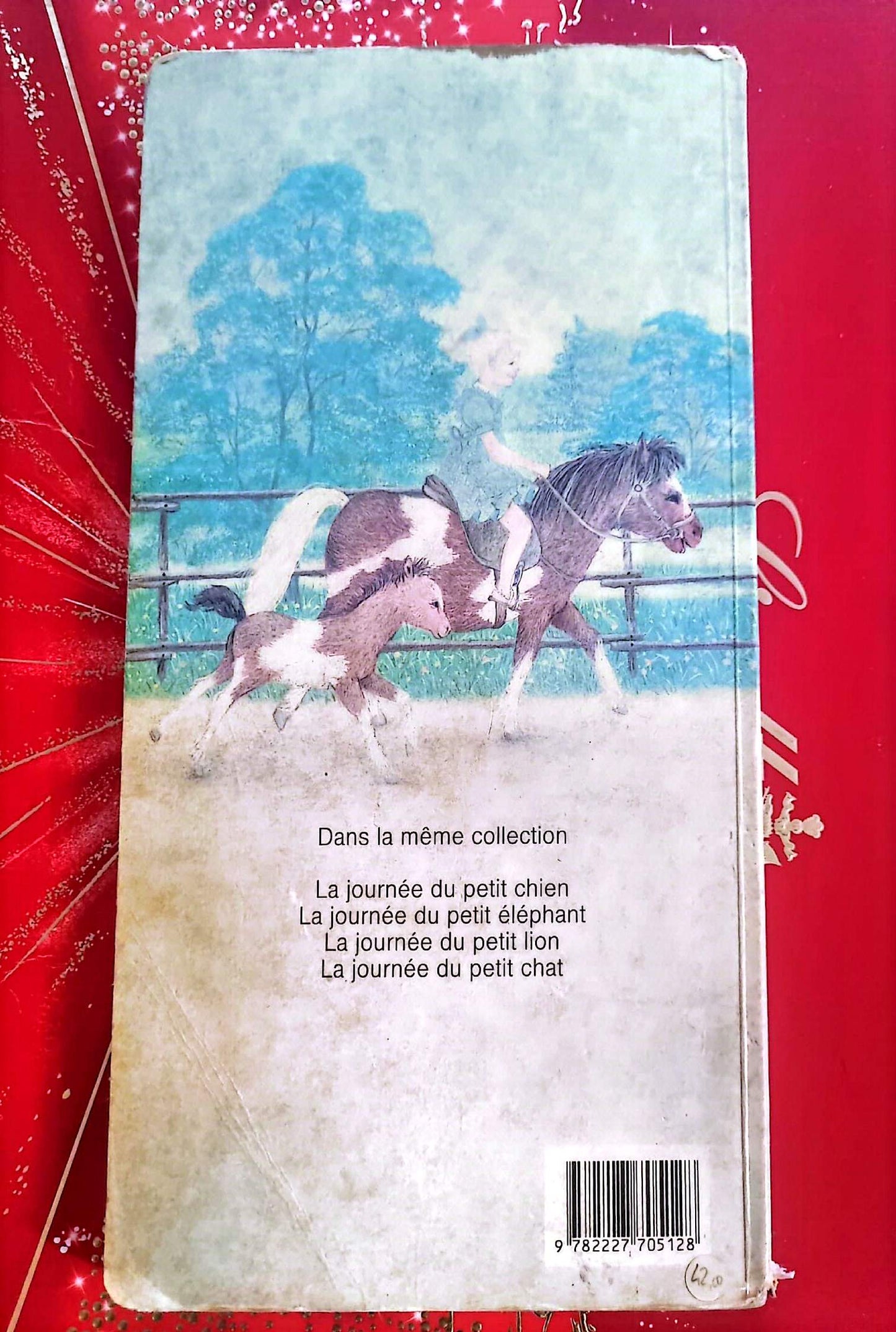 Livre Jeunesse – Amrei Fechner – La journée du petit poney – Centurion Jeunesse