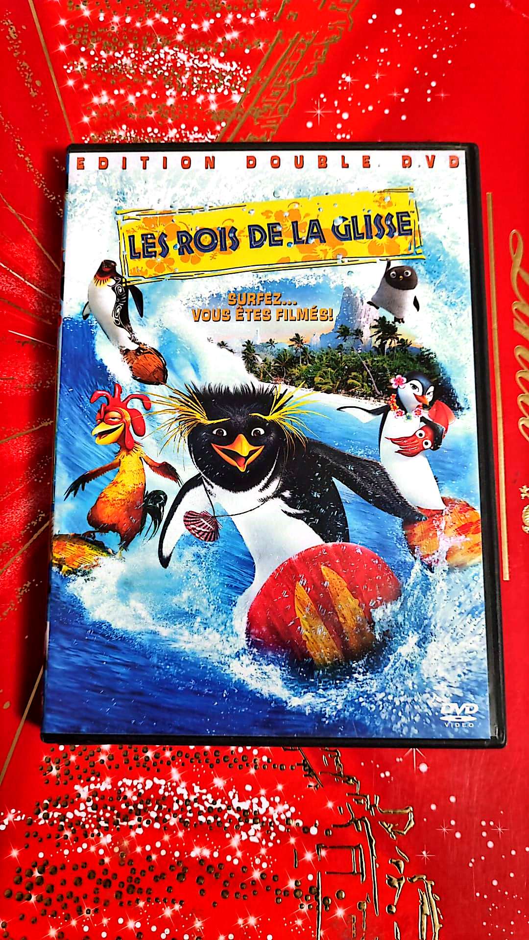 DVD : les rois de la glisse