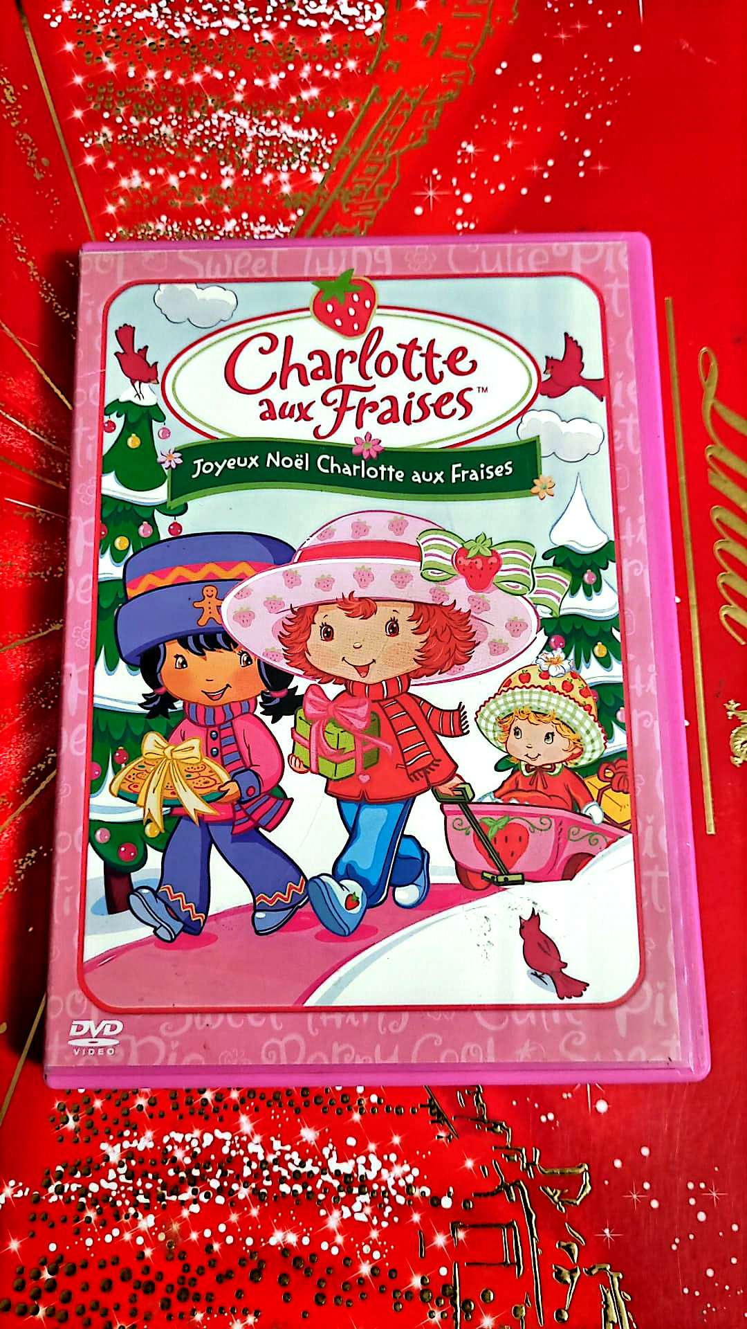 DVD : charlotte aux fraises joyeux charlotte aux fraises