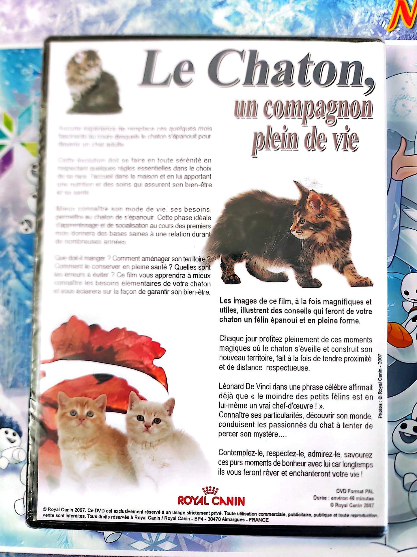 DVD Le Chaton Un Compagnon Plein de Vie Royal Film Documentaire Chats Chatons PAL Français