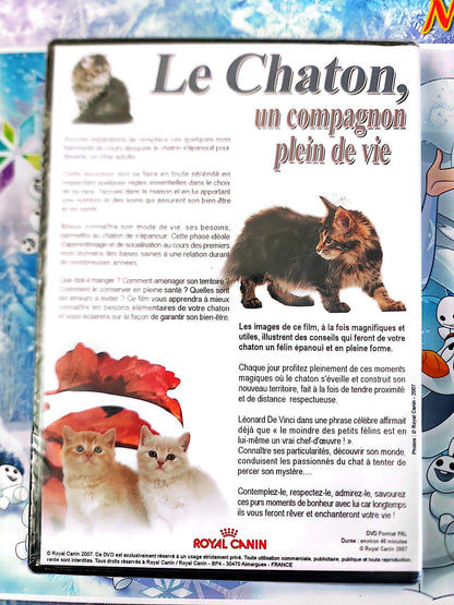 DVD Le Chaton Un Compagnon Plein de Vie Royal Film Documentaire Chats Chatons PAL Français