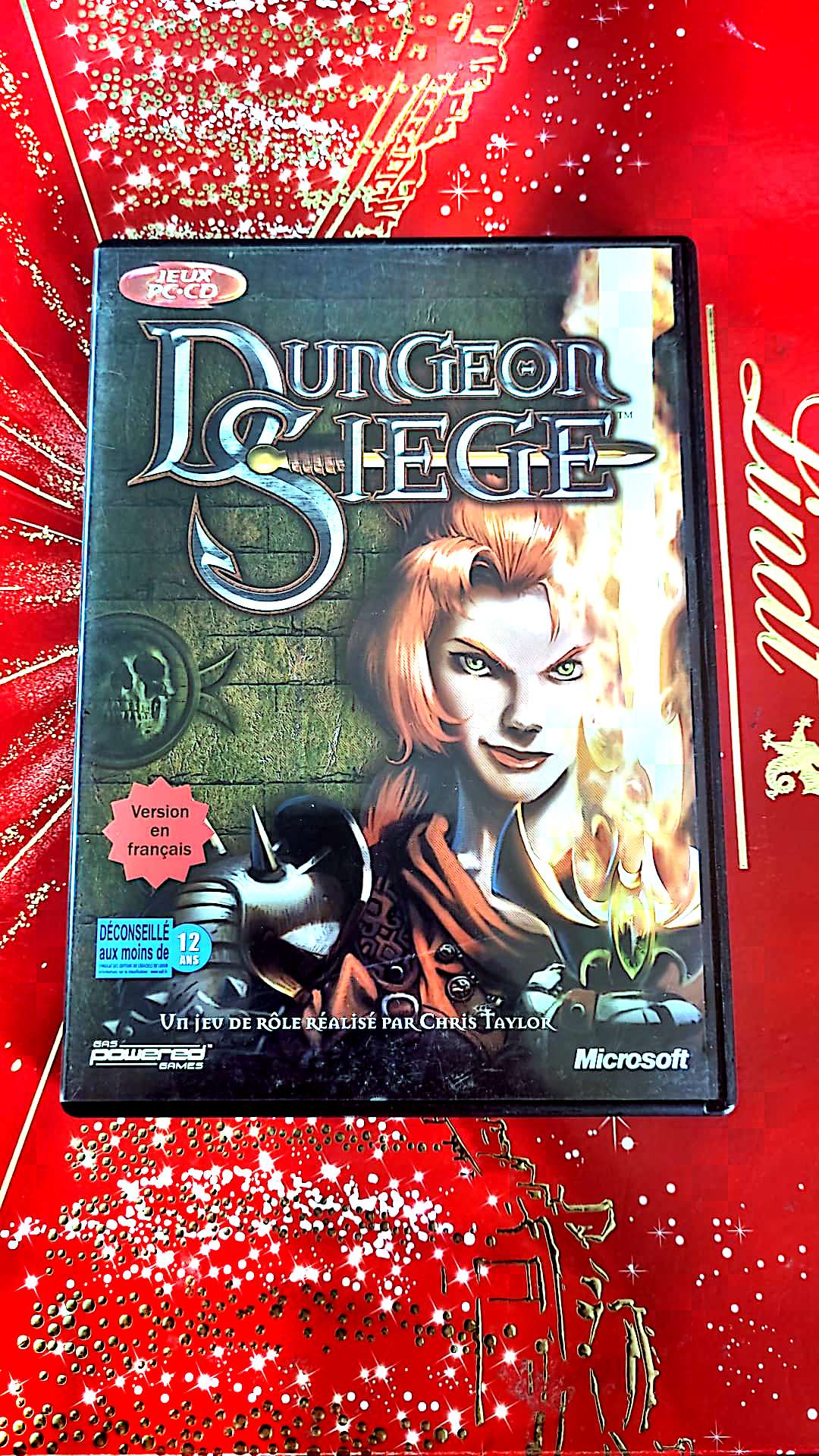 Jeu vidéo PC : dungeon siege