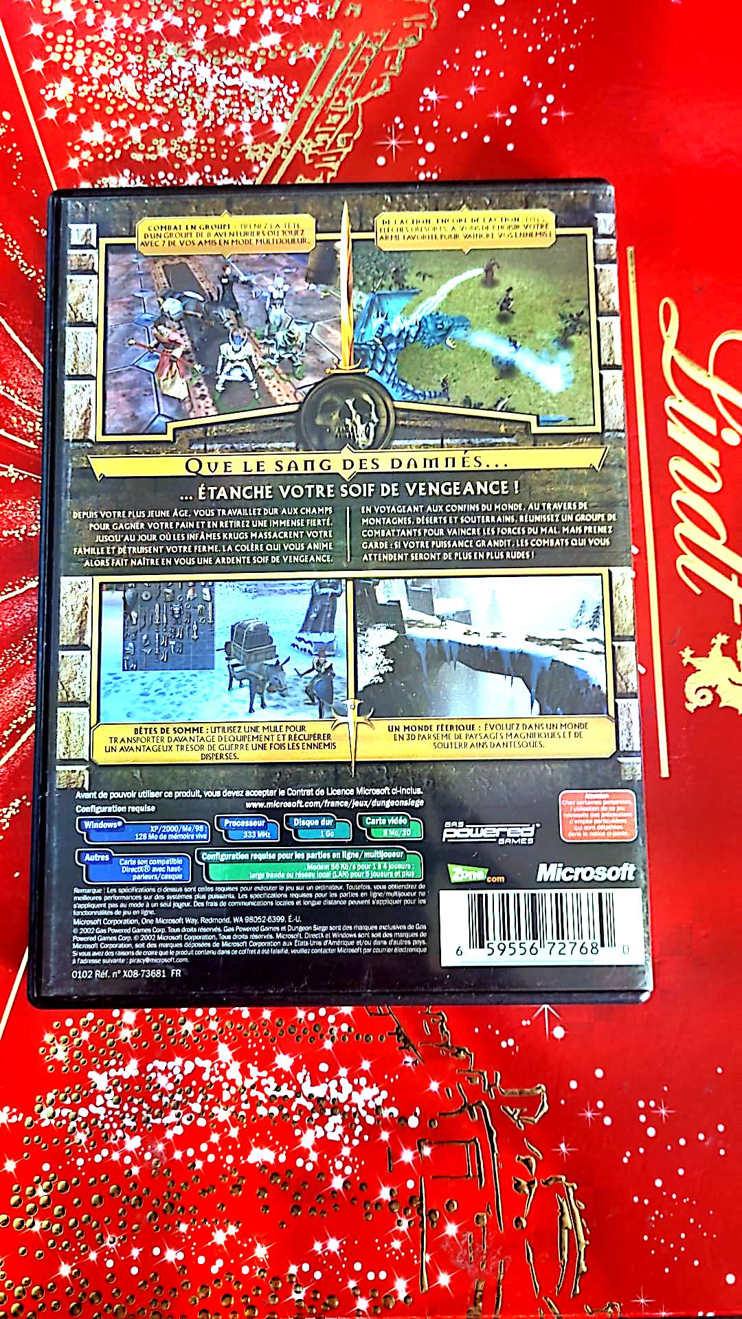 Jeu vidéo PC : dungeon siege