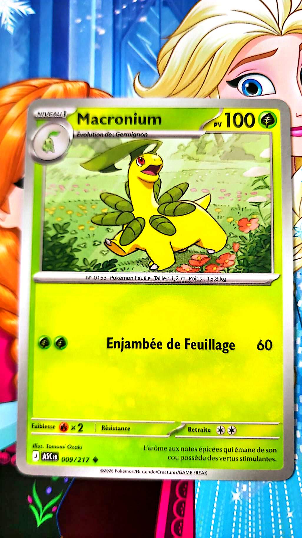 Carte Pokémon 009/217 Type Plante – Carte TCG Pokémon Française – Collection Jeu Pokémon