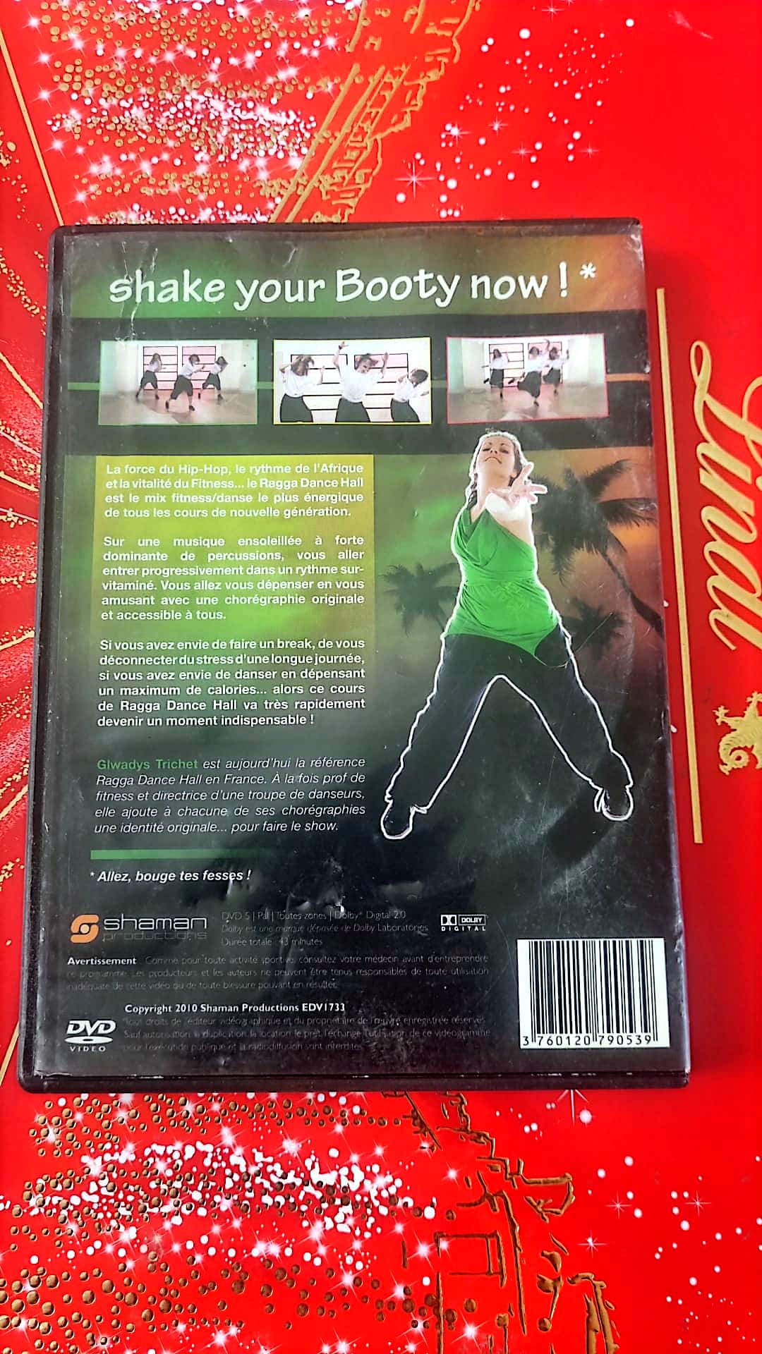 DVD Ragga Dancehall shake your booty now