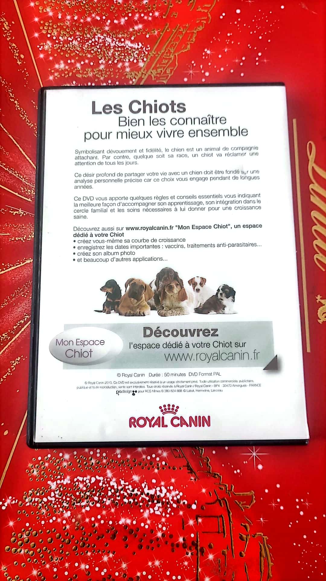 DVD les chiots bien les connaître pour mieux vivre ensemble