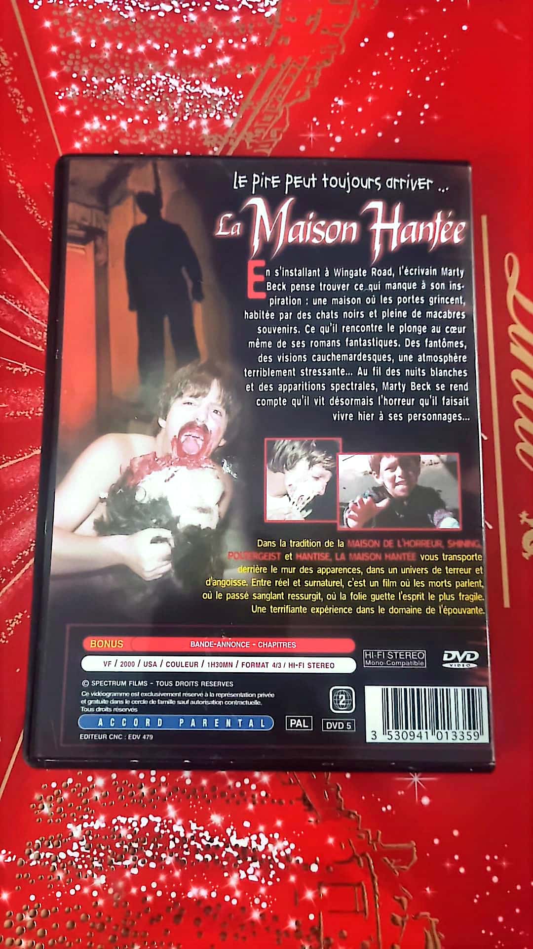 DVD : La Maison Hantée (DVD film d’horreur, 2000) – Version française, PAL, couleur, accord parental – Film d’épouvante surnaturelle