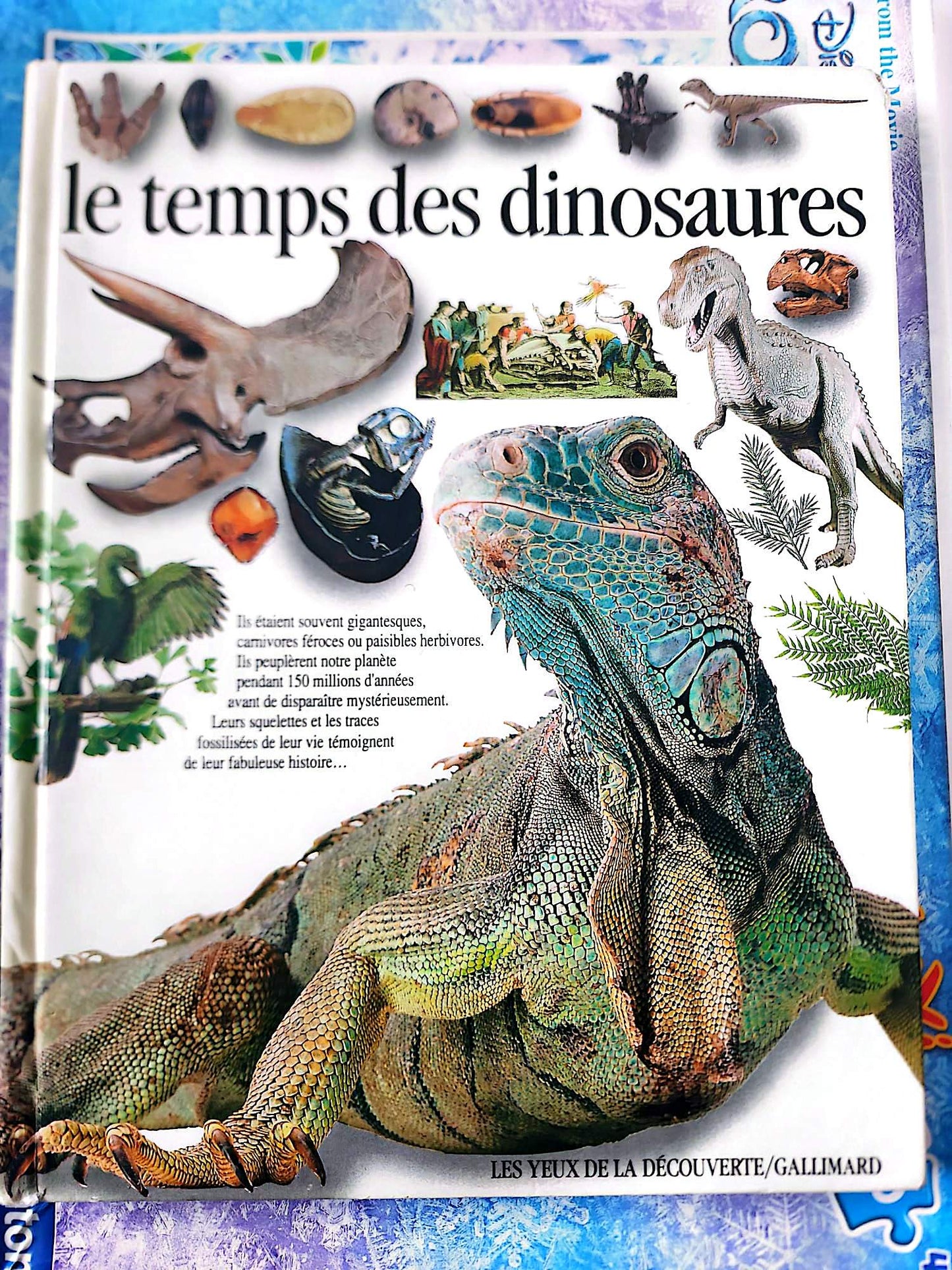 Le Temps des Dinosaures – Encyclopédie Illustrée Jeunesse | Livre Éducatif Préhistoire Dinosaure | Les Yeux de la Découverte Gallimard