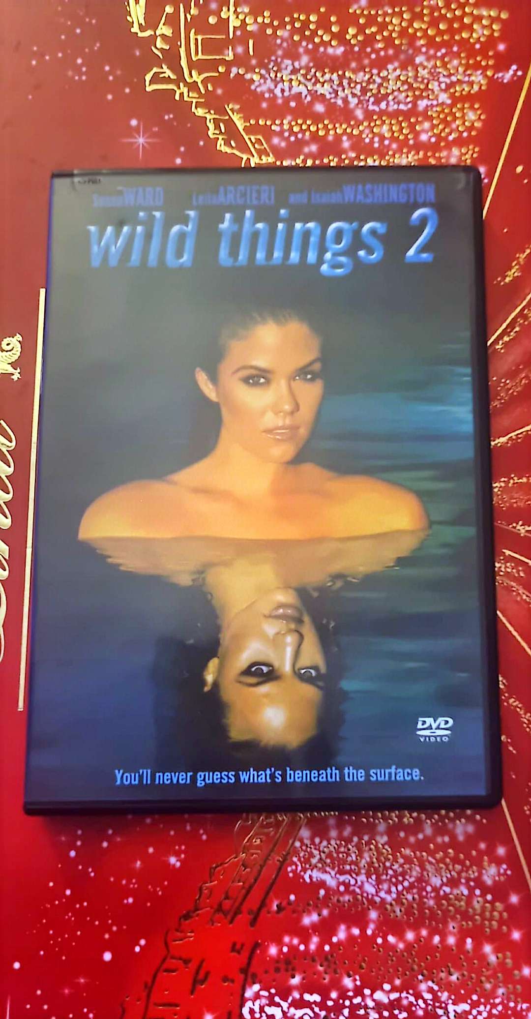 DVD : Wild things 2