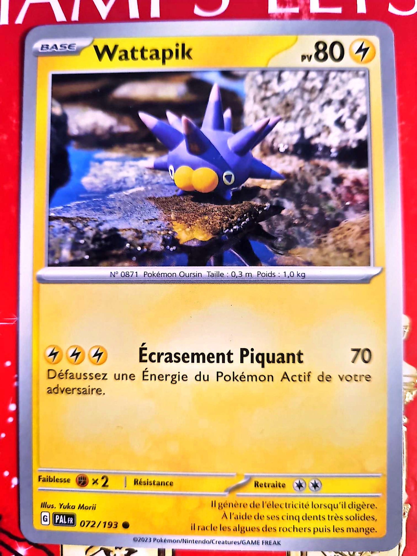 Carte Pokémon Wattapik PV80 | Carte originale | Pokémon TCG carte pokemon