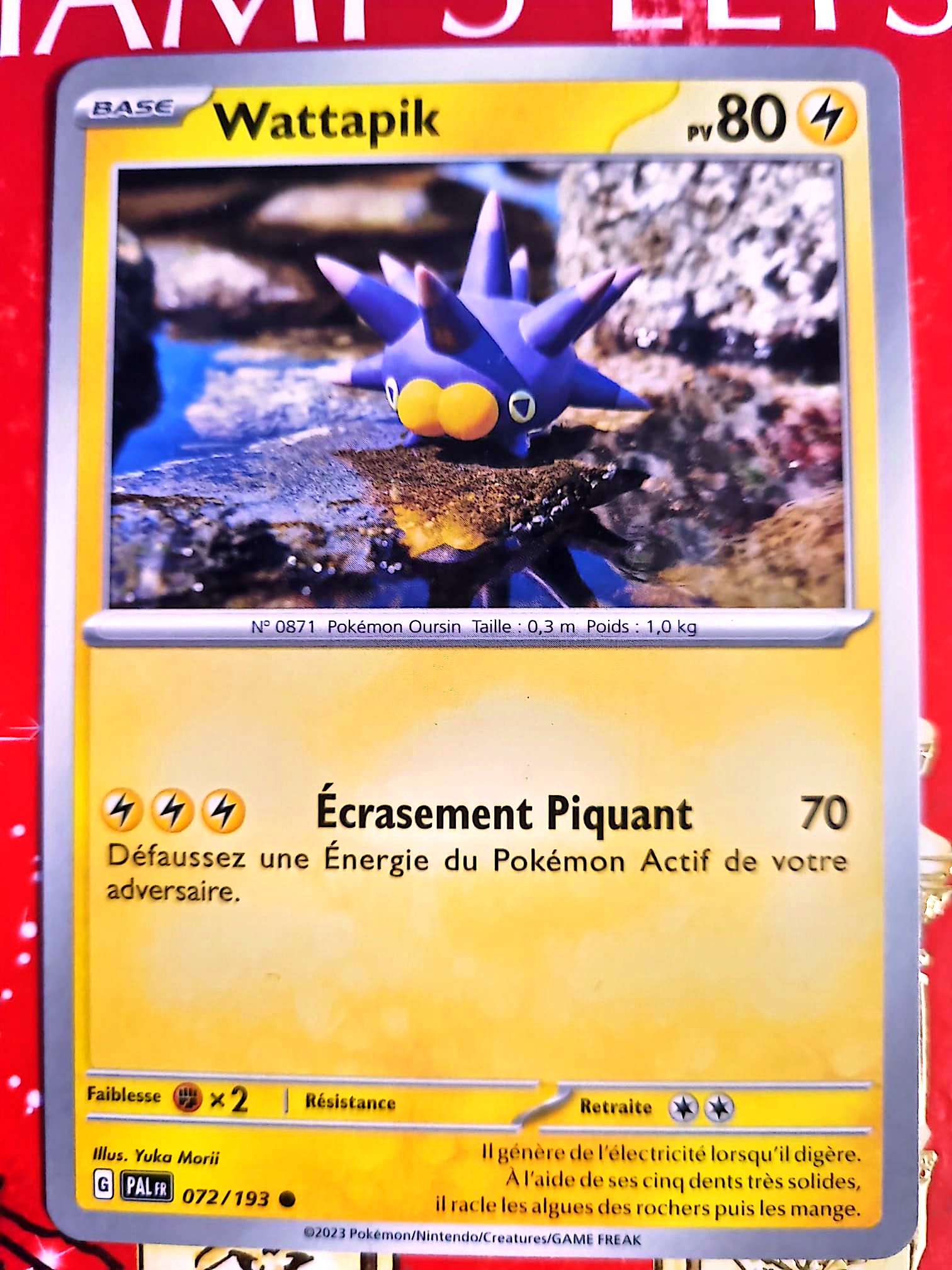 Carte Pokémon Wattapik PV80 | Carte originale | Pokémon TCG carte pokemon