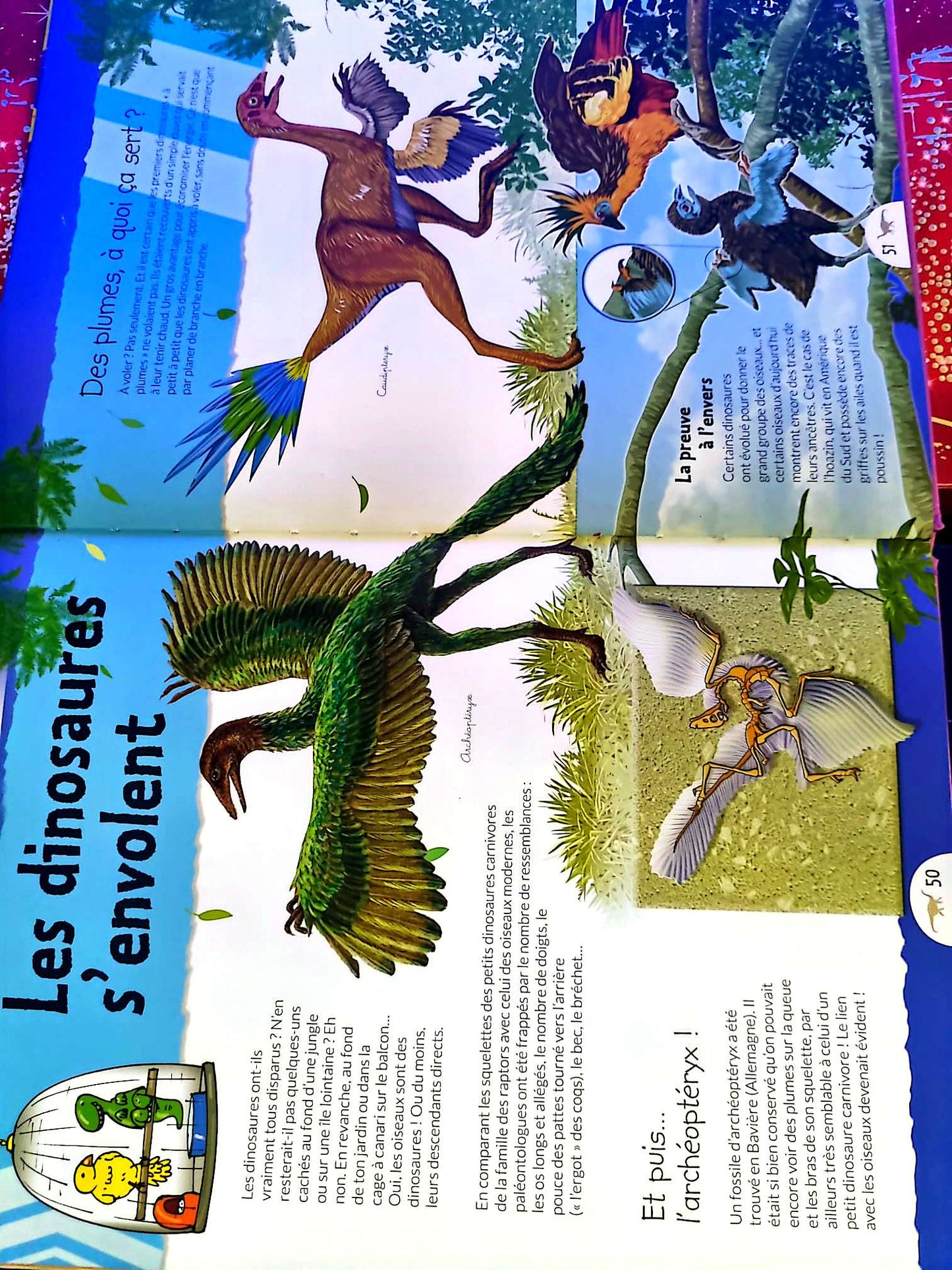 À la découverte des dinosaures | Livre jeunesse illustré | Documentaire enfants livre documentaire