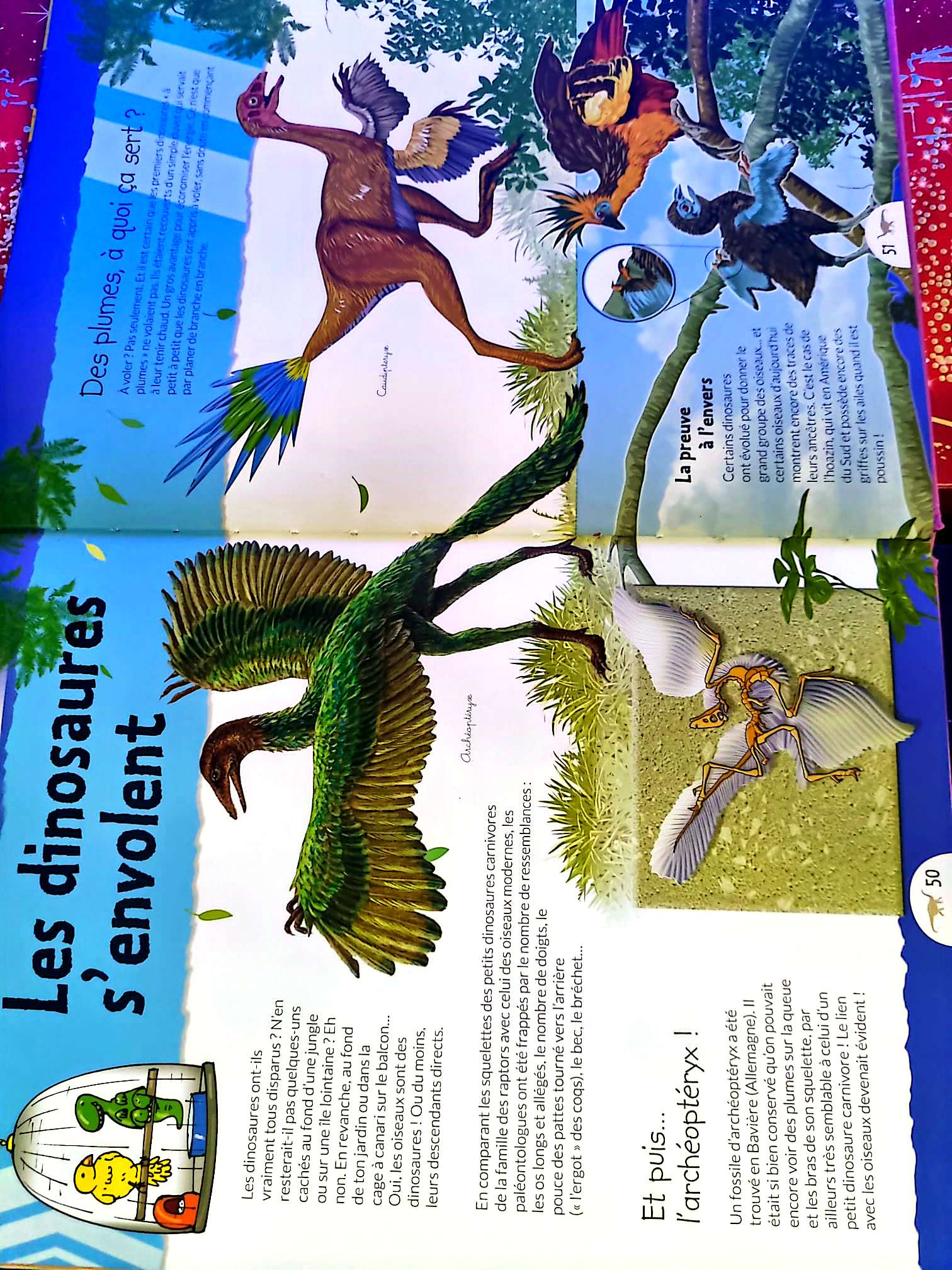À la découverte des dinosaures | Livre jeunesse illustré | Documentaire enfants livre documentaire