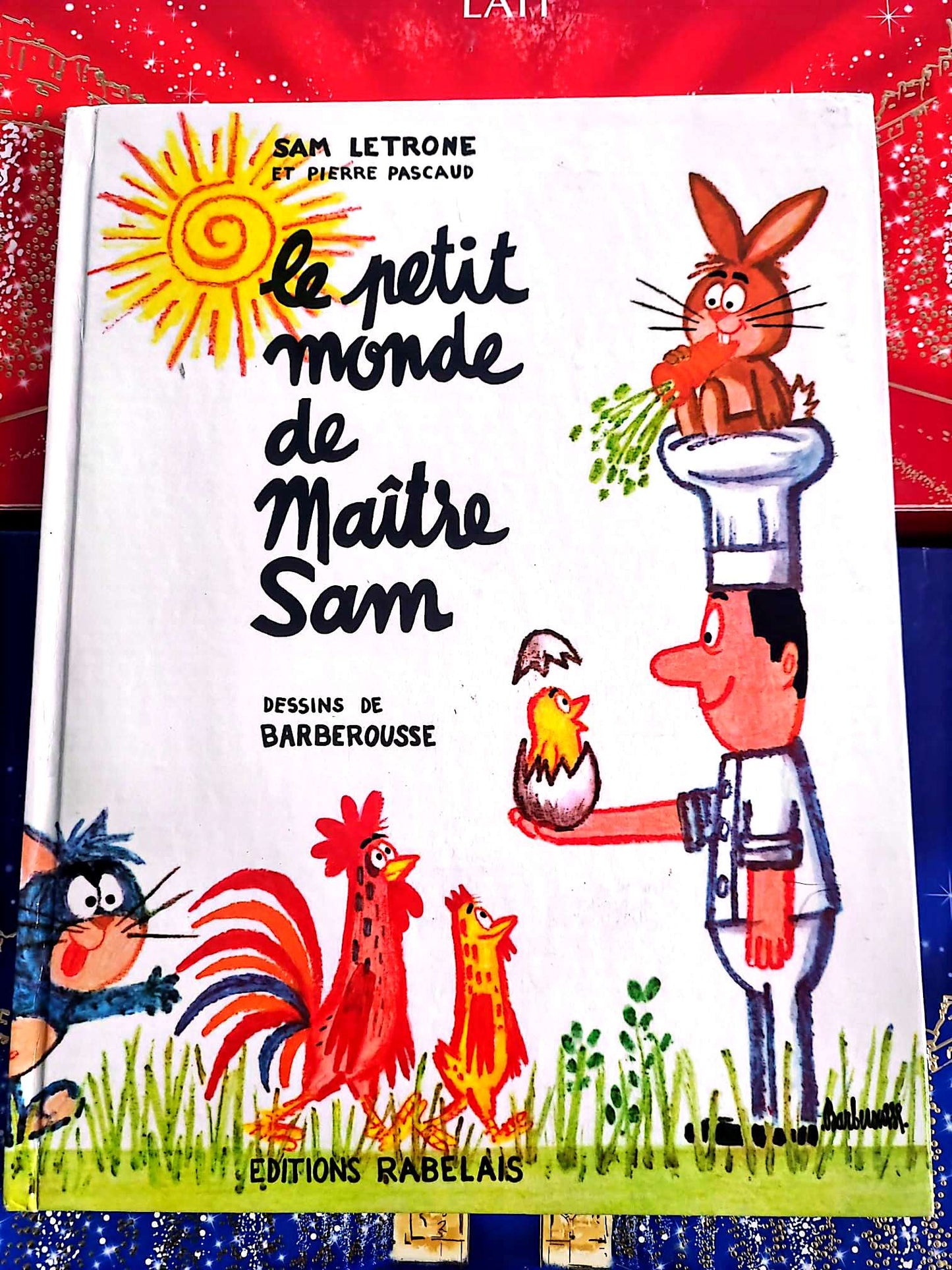 Le petit monde de Maître Sam | Livre jeunesse illustré | Album pour enfants livre