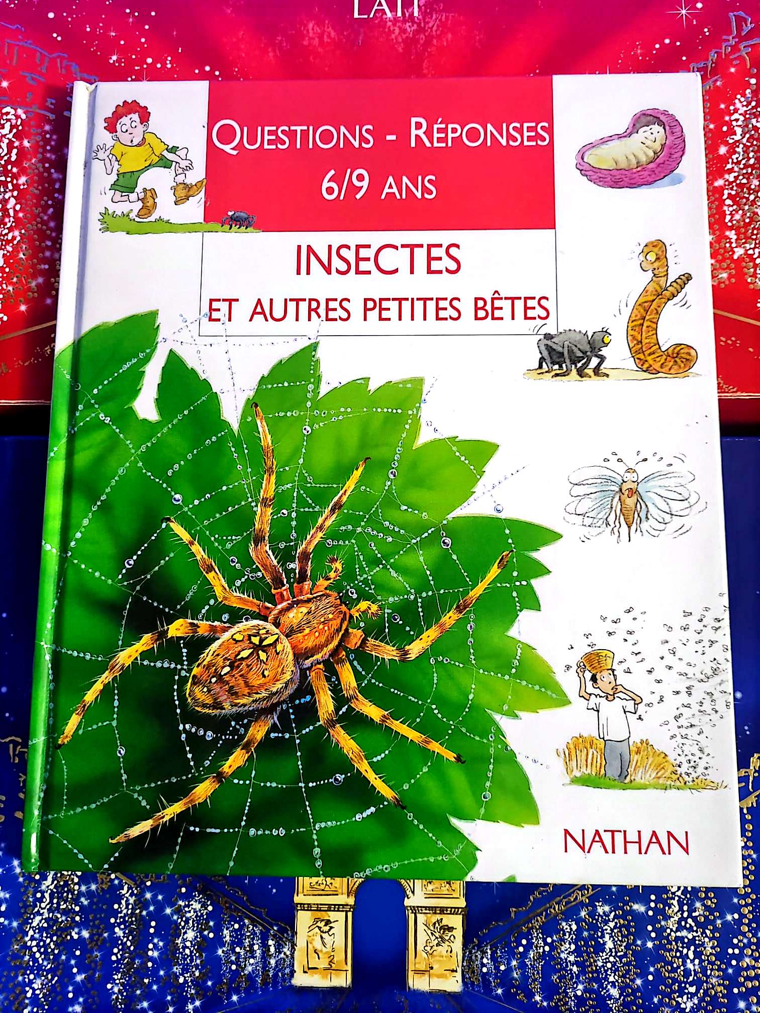 Questions – Réponses 6/9 ans – Insectes et autres petites bêtes | Livre enfant livre