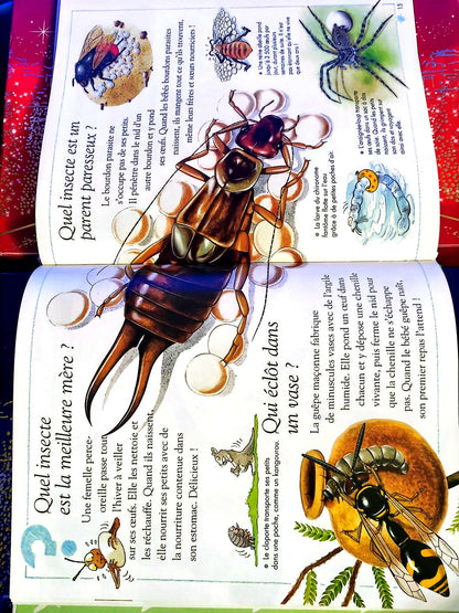 Questions – Réponses 6/9 ans – Insectes et autres petites bêtes | Livre enfant livre