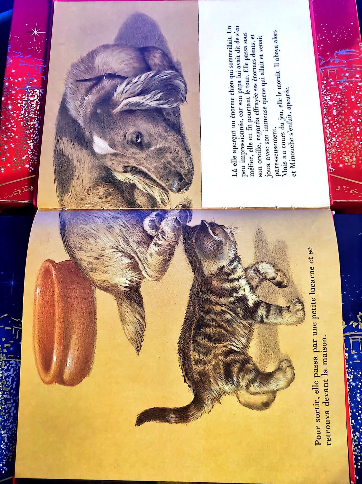 Qui veut adopter Minouche | Livre jeunesse | Histoire illustrée livre