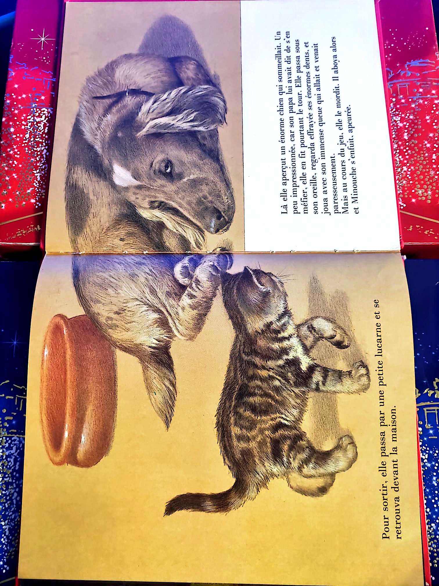 Qui veut adopter Minouche | Livre jeunesse | Histoire illustrée livre