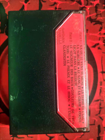 Cassette Audio Angelo Branduardi – Va où le vent te mène – Chanson Italienne / Folk cassette audio