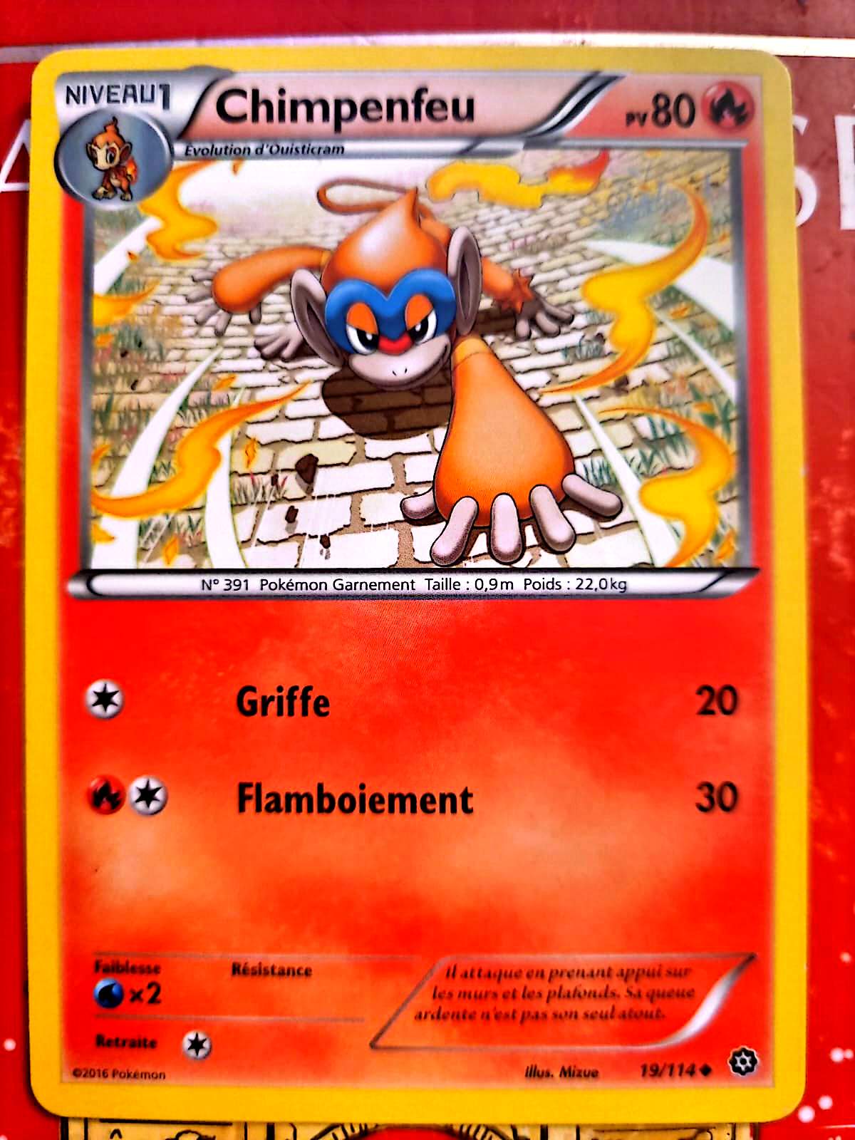 Carte Pokémon Chimpenfeu 19/114 – Version française – Carte à l’unité