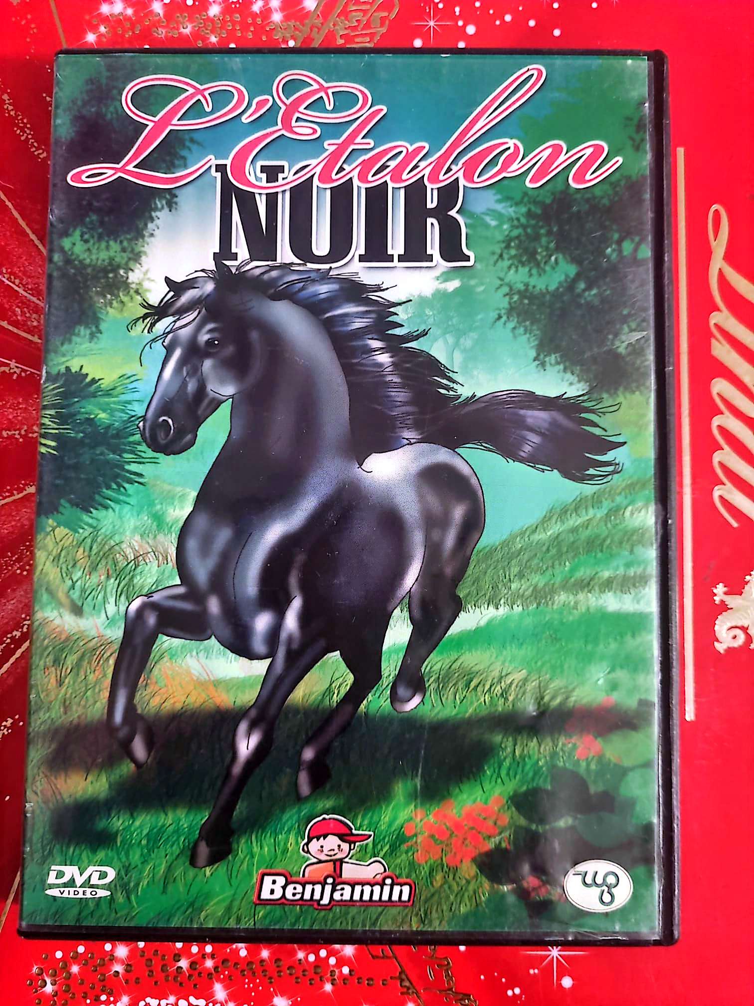 L’Étalon Noir | DVD Film Jeunesse | Adapté du roman d’Anna Sewell | Version Française dvd