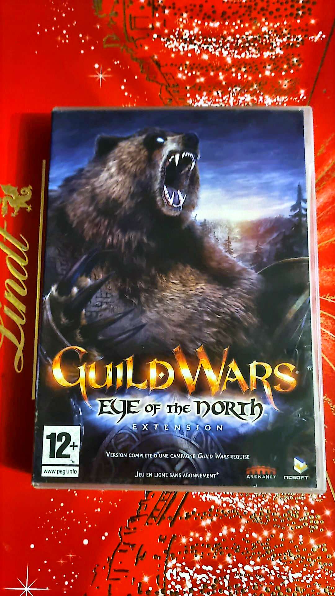Jeu vidéo PC : Guild Wars eye of the North Extension