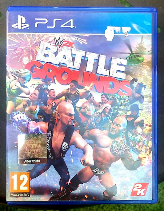 Jeu vidéo PS4 : Battle Grounds