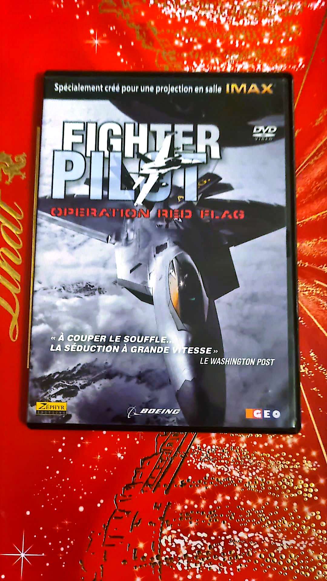 Jeu vidéo PC : fighter pilot opération red flag