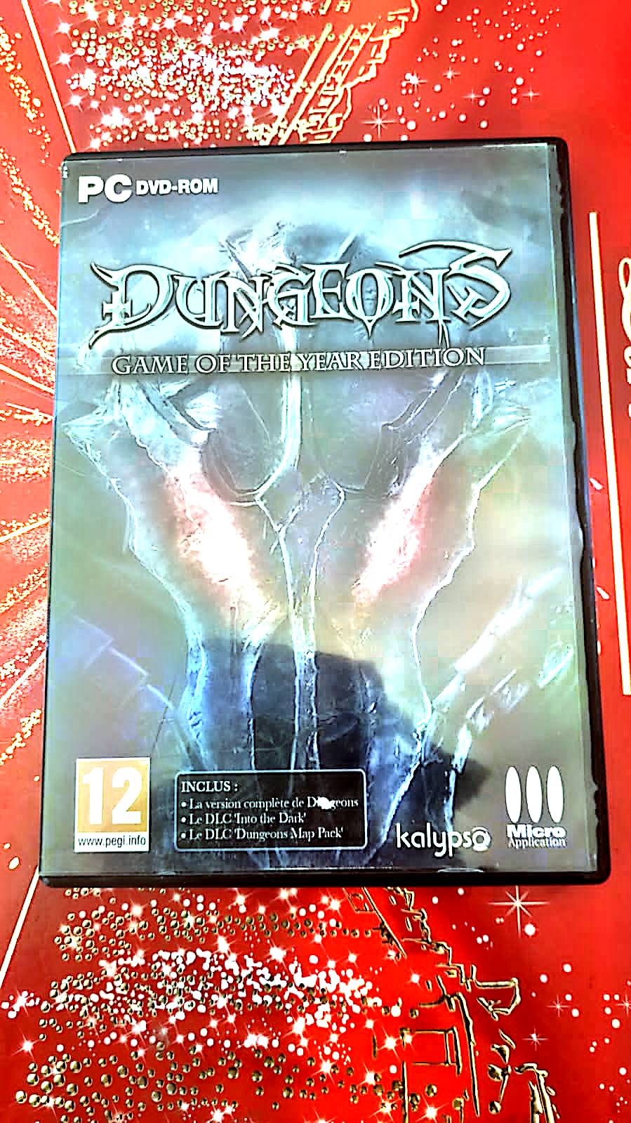 jeu pc dungeons game of the year edition vendu en bon etat par blaspo