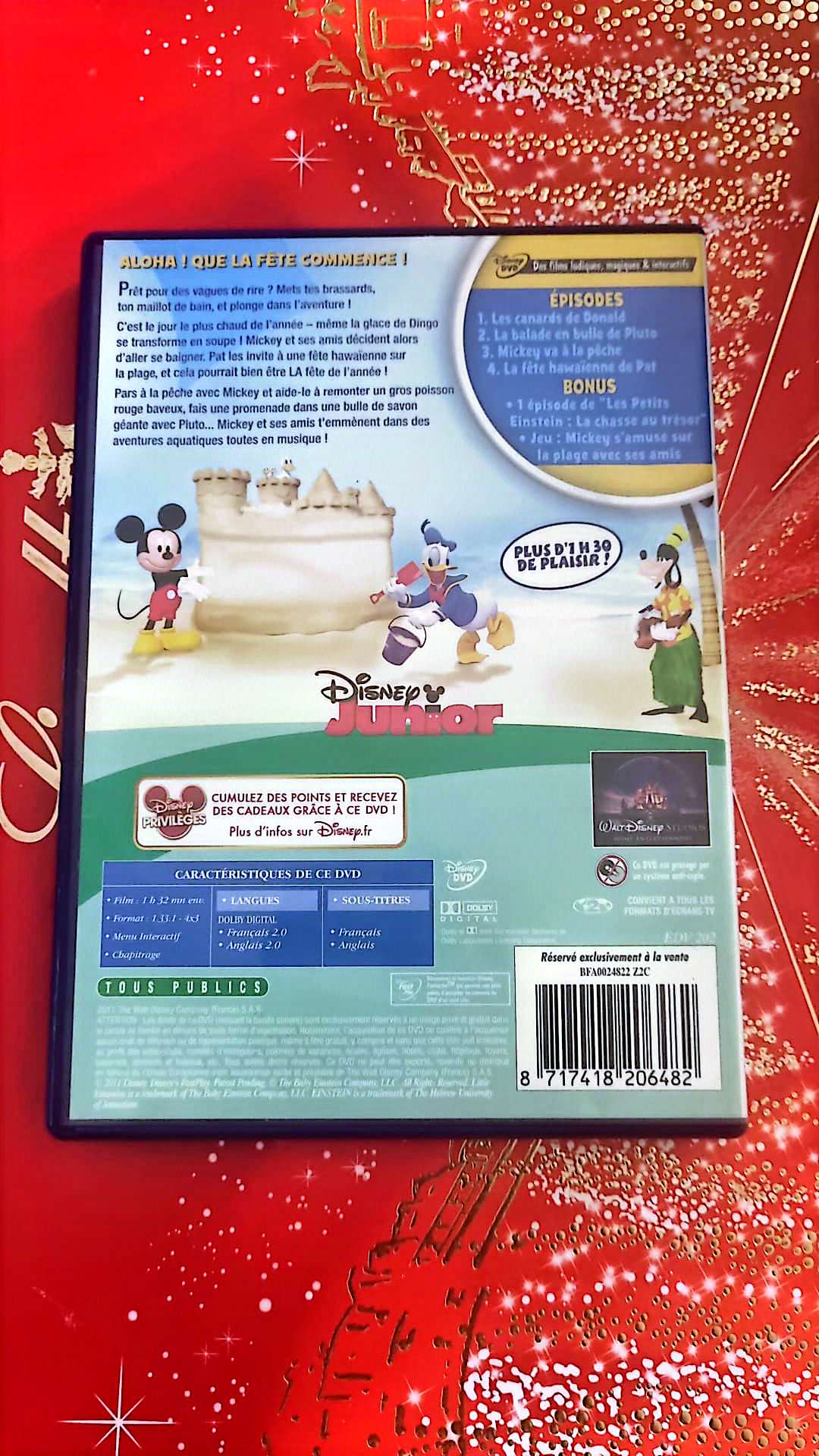 la maison de mickey le grand plouf DVD
