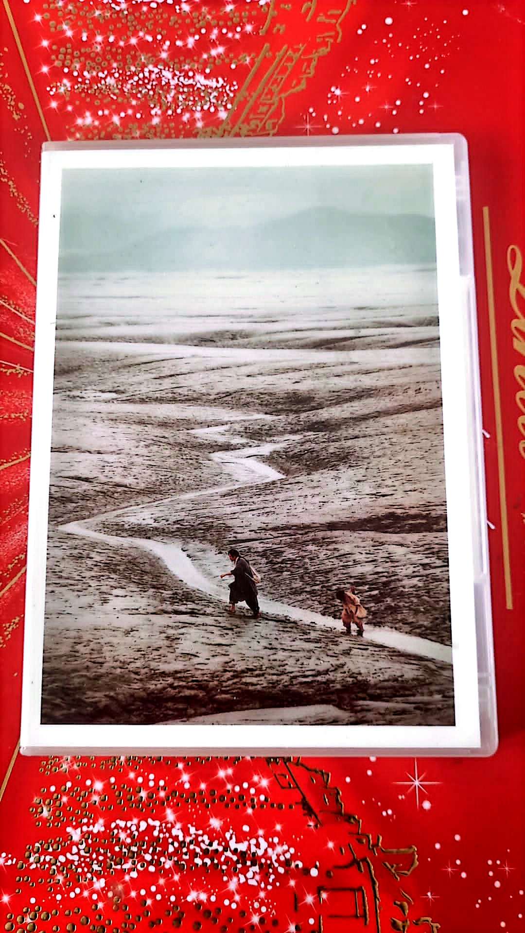 Ivre de femmes et de peinture - DVD Film Drame Historique état Par