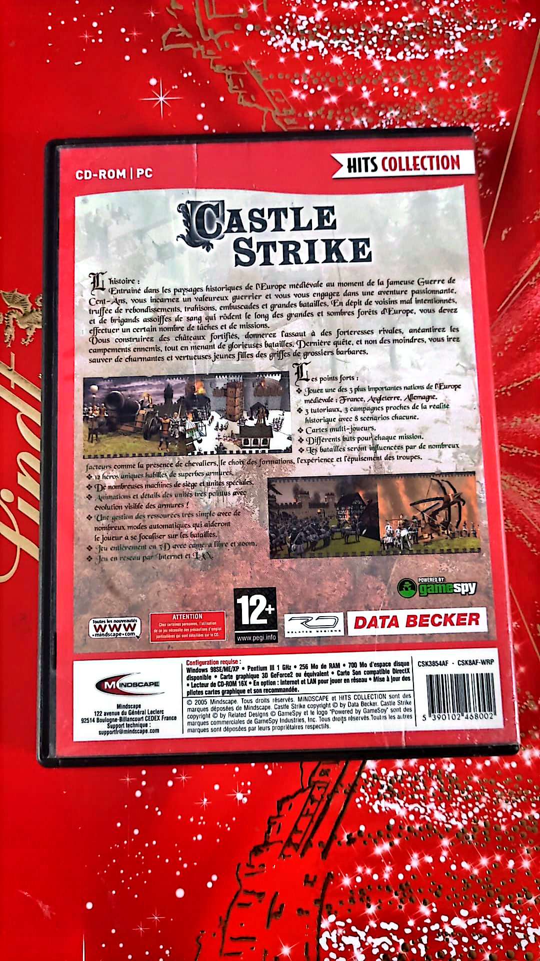 Jeu vidéo PC : castle strike