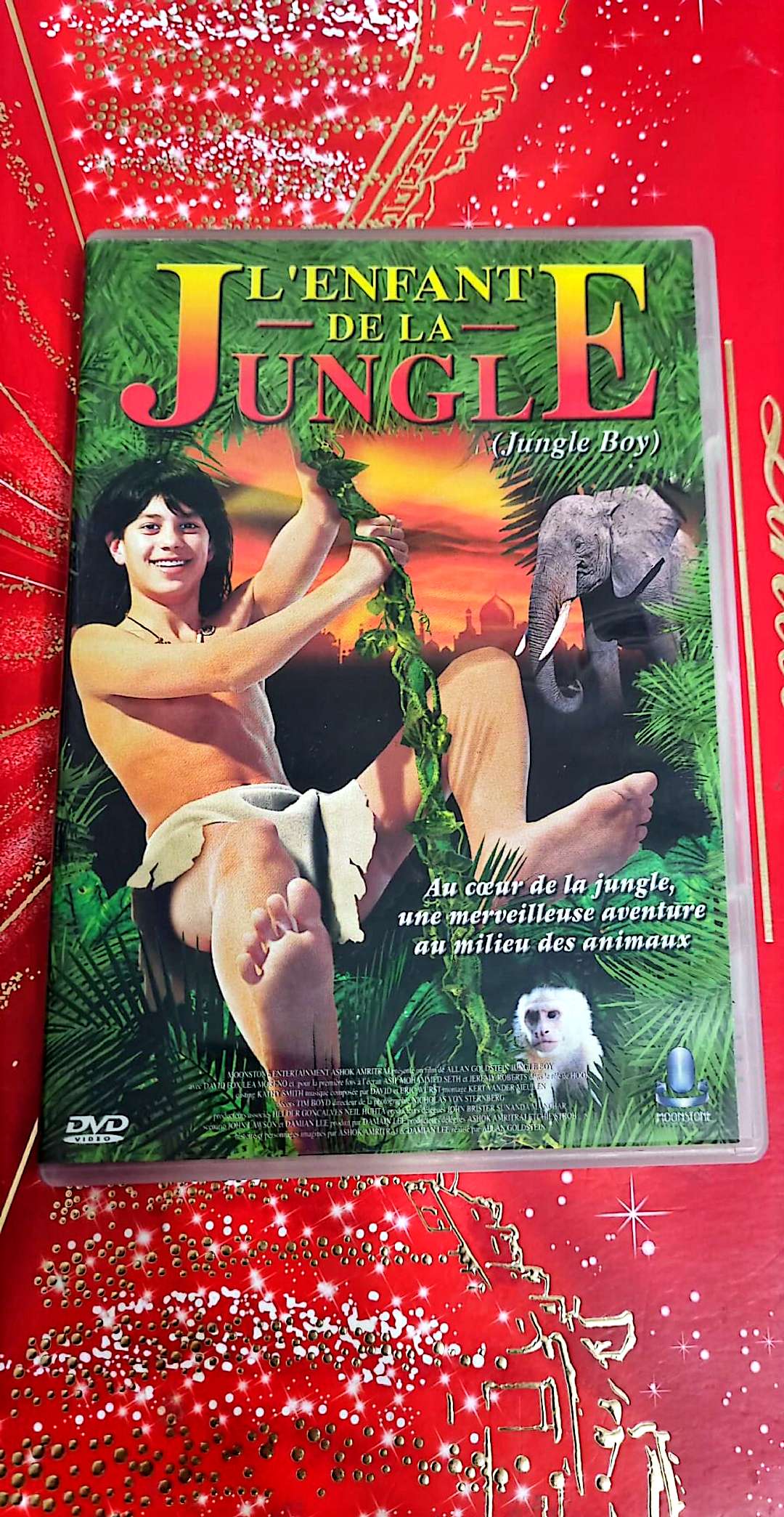 DVD : l'enfant de la jungle