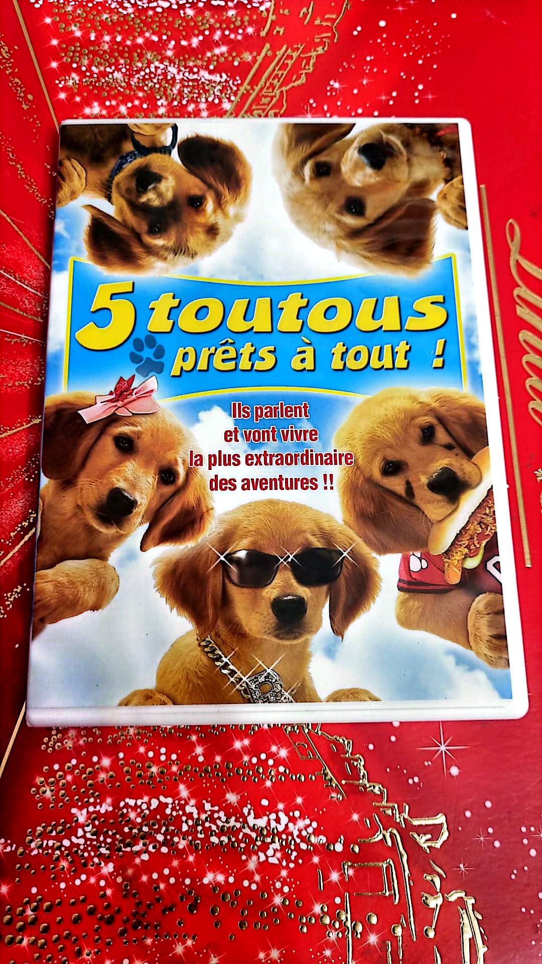 DVD 5 Toutous Prêts à Tout