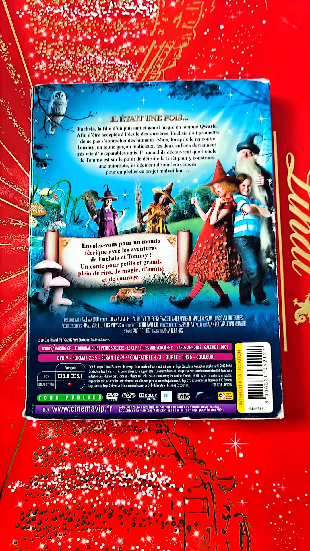 DVD : fuchsia l'apprentie sorcière