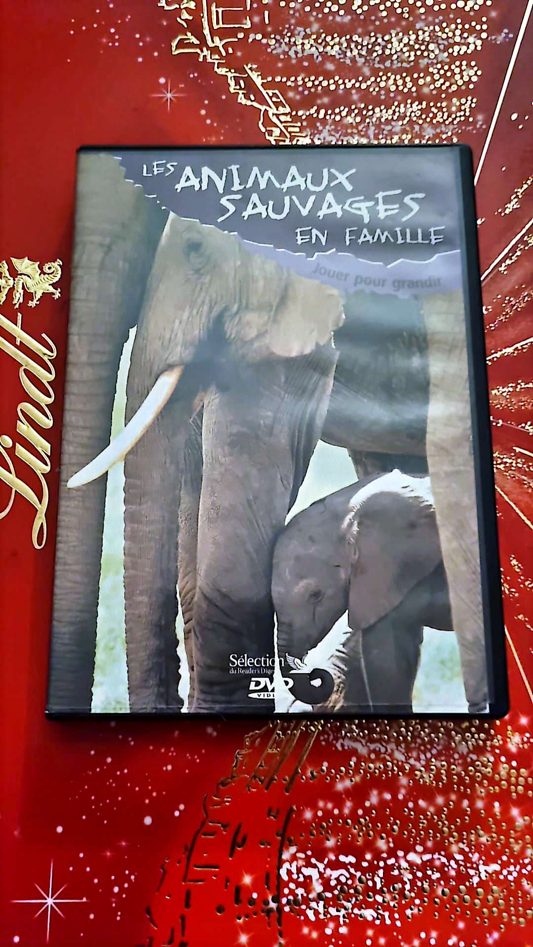 DVD Les animaux sauvages en famille
