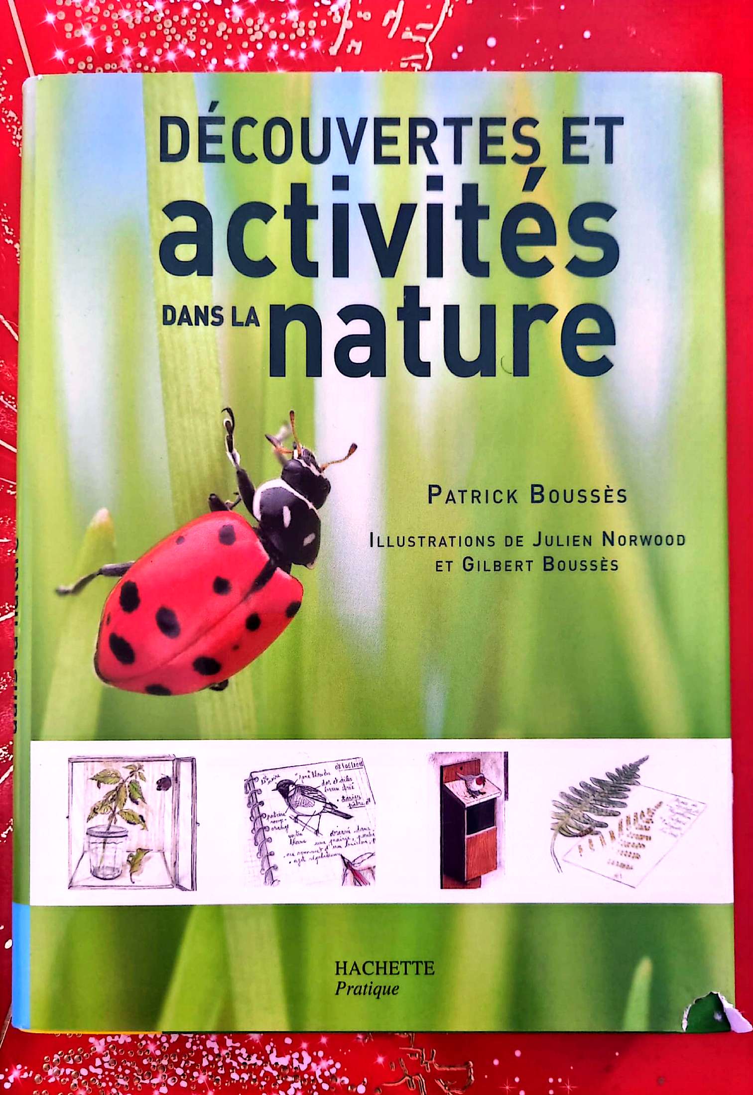 Découvertes et activités dans la nature – Patrick Boussès – Guide pratique – Hachette Pratique livre