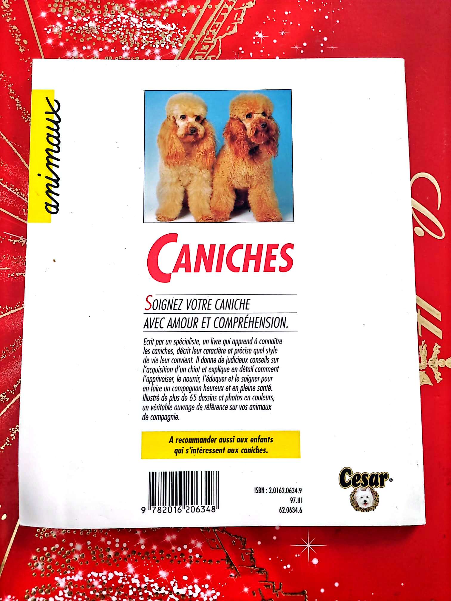 Caniches – Bien comprendre et bien les soigner – Guide pratique chiens – Hachette livre